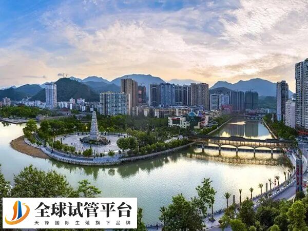 都匀试管婴儿医院中哪家生殖科技术好？