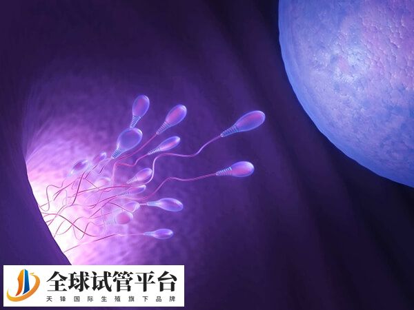 贵州有私立医院能做三代试管生男孩吗？