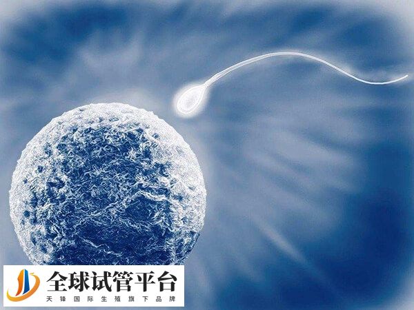 贵阳做三代试管婴儿医院有哪些？排名第一的是哪家？