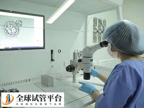 贵阳试管专家排名中哪个医生比较好？