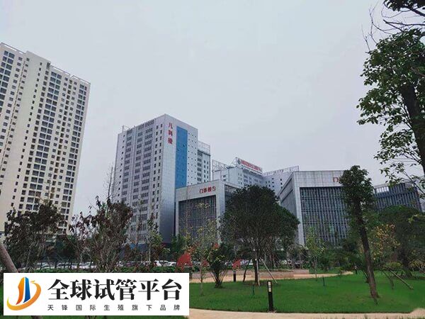 曲靖市妇幼保健院