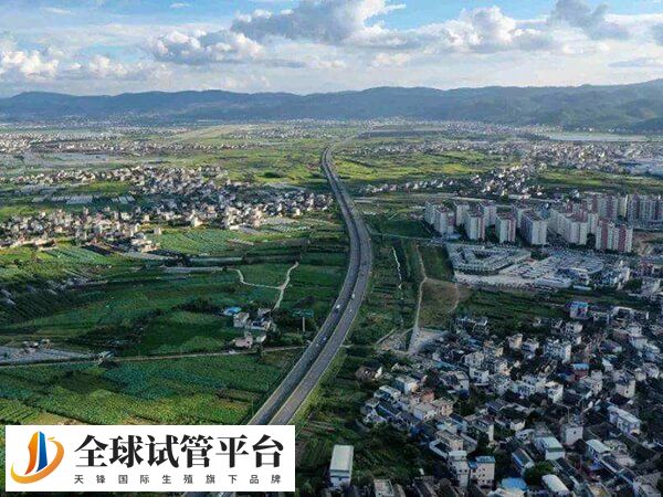 保山没有医院可以做试管婴儿