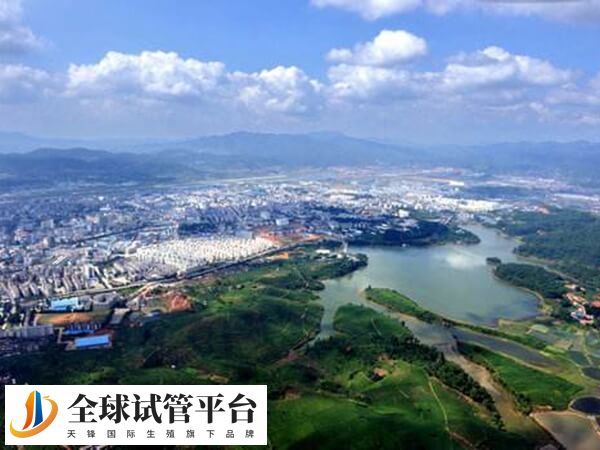 普洱哪个医院可以做试管婴儿？市人民医院能供卵吗？