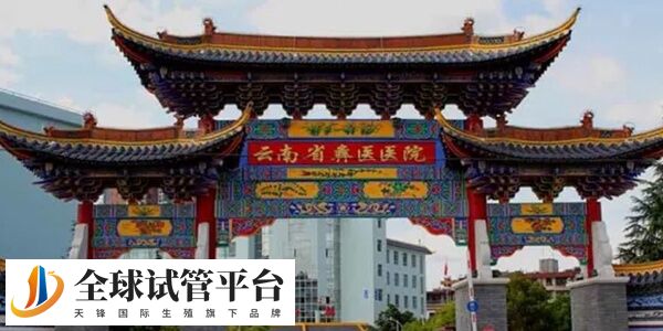 楚雄州中医院生殖医学中心可以做试管婴儿吗？