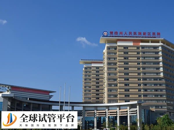 楚雄市人民医院和彝族自治州人民医院哪个试管婴儿技术好？