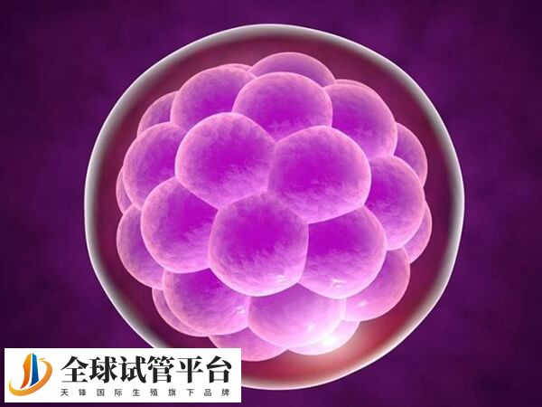 私人医院卵源没有保障