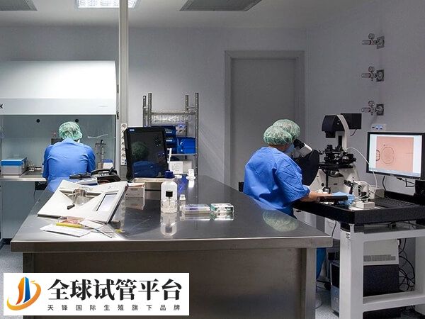 二代试管婴儿授精费用在5000到6000元