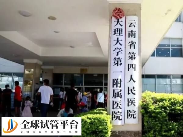 大理大学第一附属医院试管婴儿费用明细表是怎样的？