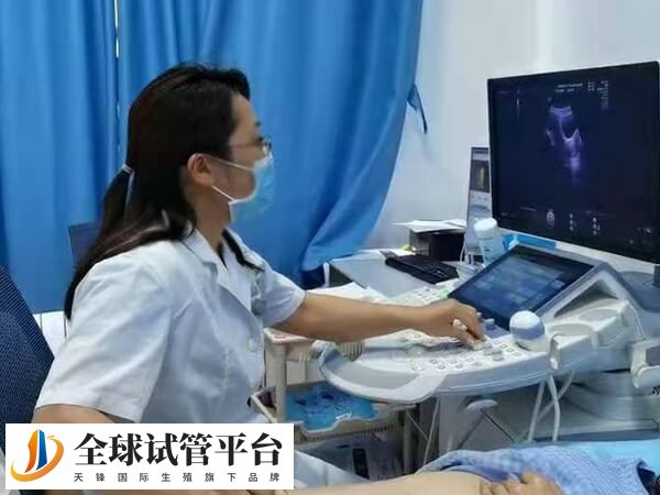 大理附属医院试管婴儿的步骤流程和时间安排是怎么样的？