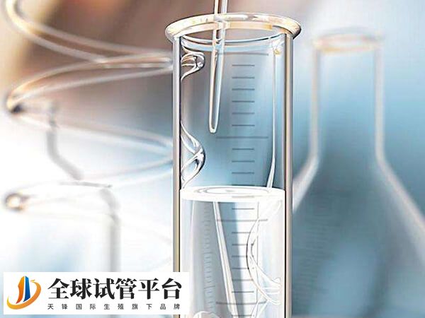 株洲还没有三代试管技术