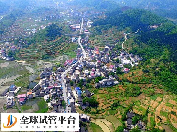 湖南可以供卵的医院有很多