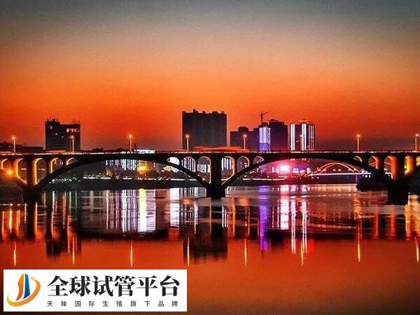 邵阳哪家试管婴儿医院有设立卵子库？