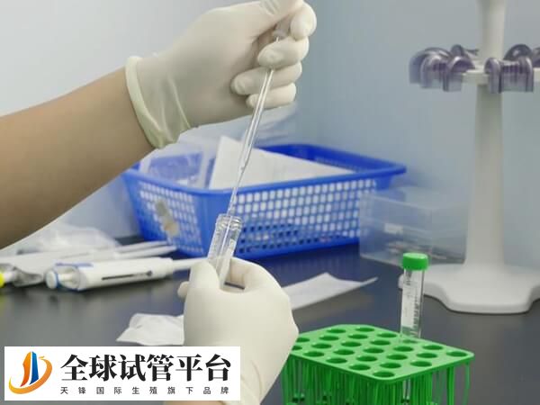 胚胎培养费用在一万元左右