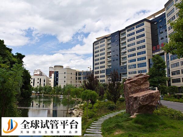 永州中心医院生殖中心有三代试管技术吗？