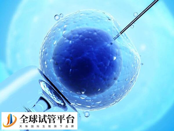 每个人情况不同会导致促排费用差距较大