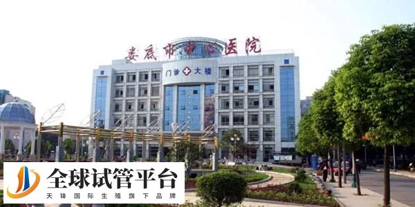 娄底中医院和中心医院哪个做试管婴儿技术更好？