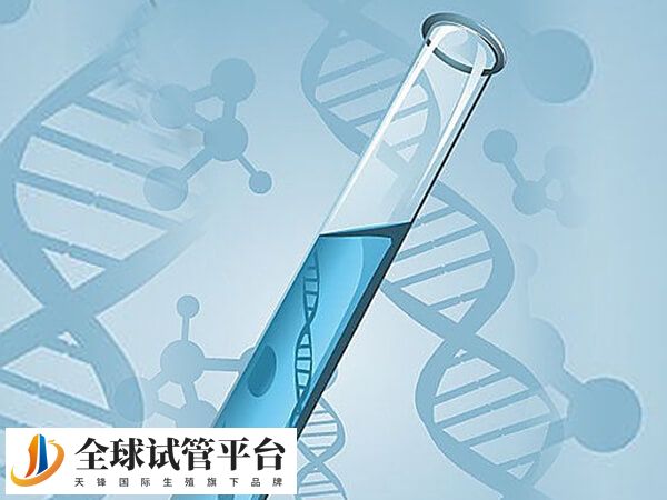 黄石中心医院没有三代试管技术