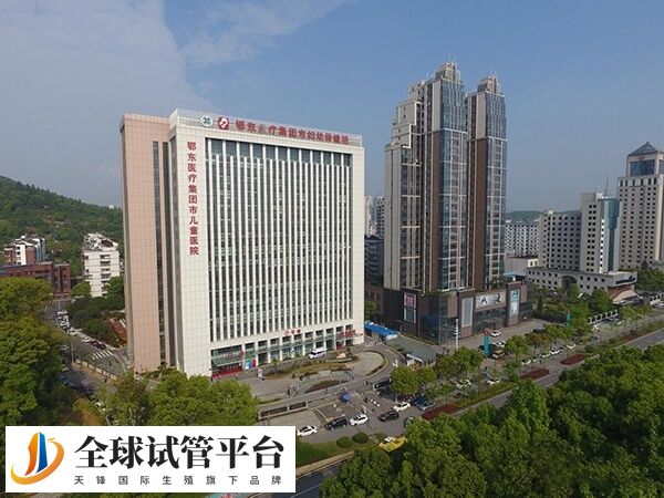 鄂东医疗集团市中医医院