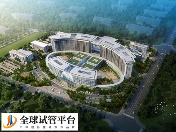 黄石中心医院罗淑红医生擅长治女性不孕吗？