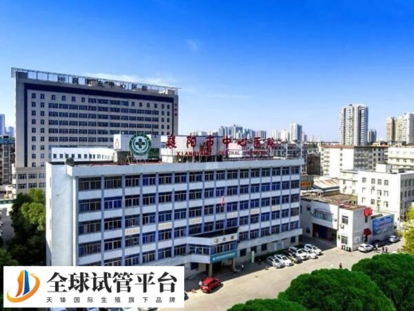 襄阳第三代试管婴儿哪个医院好？