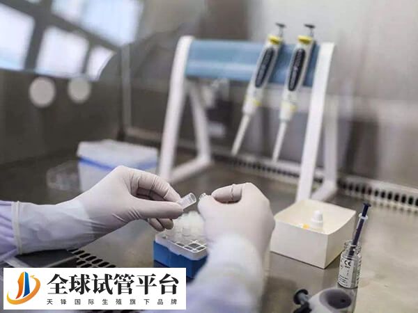 襄阳供精试管婴儿哪家医院能做？技术咋样？