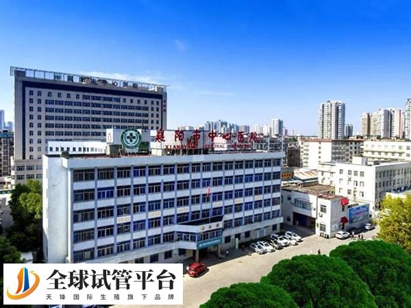 襄阳市中心医院有很多试管专家