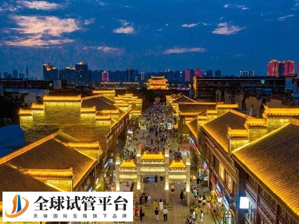 襄阳做试管选一医院和中心医院哪个好？