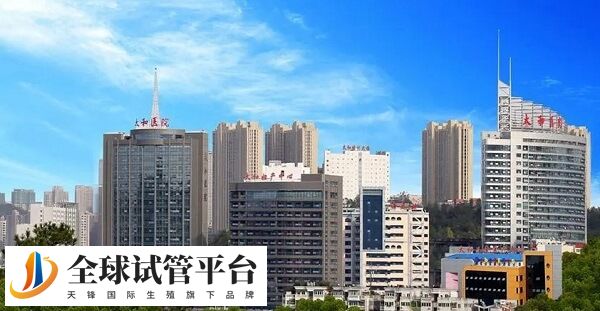 十堰试管婴儿医院成功率排名是怎么样的？