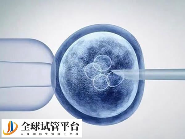 三代试管能排除携带致病基因的胚胎