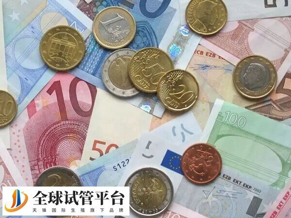 三代试管婴儿需要胚胎筛查费用