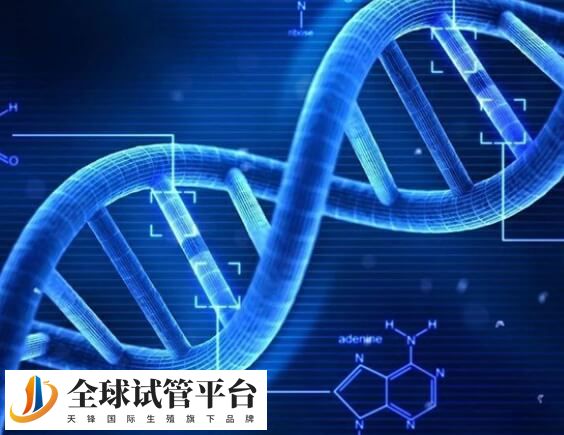 十堰有几家试管婴儿医院？哪家技术比较好？
