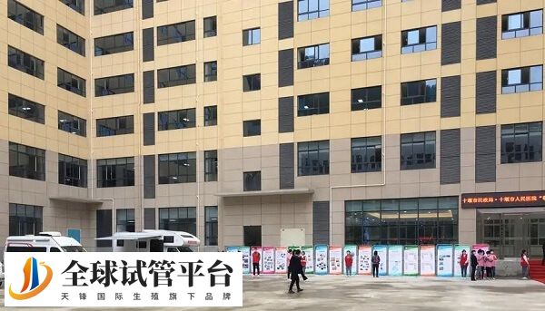 十堰市人民医院申请供卵做试管婴儿需要带什么材料？