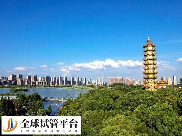 鄂州哪家不孕不育医院人工助孕技术比较好？