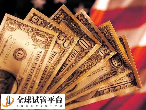 黄冈的公立试管婴儿医院做试管婴儿单次费用多少？