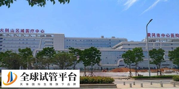 黄冈市中心医院做一次人工受孕费用大概要多少钱？