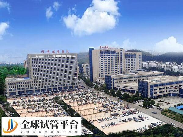 咸宁市中心医院