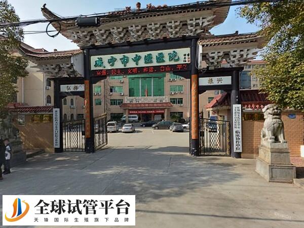 咸宁市中医医院治疗以中西结合为主