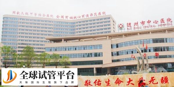 随州中心医院现目前已经开展了试管技术