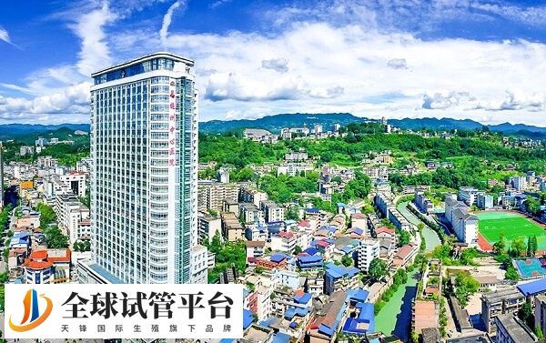 恩施州中心医院有精子库吗？能做捐精人工授精吗？