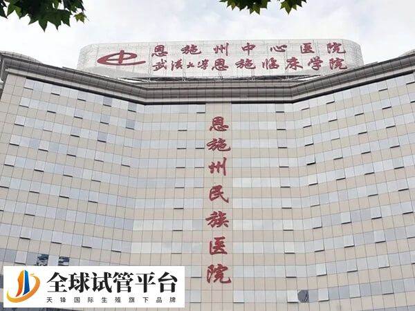 恩施有做试管婴儿的公立三甲医院吗？