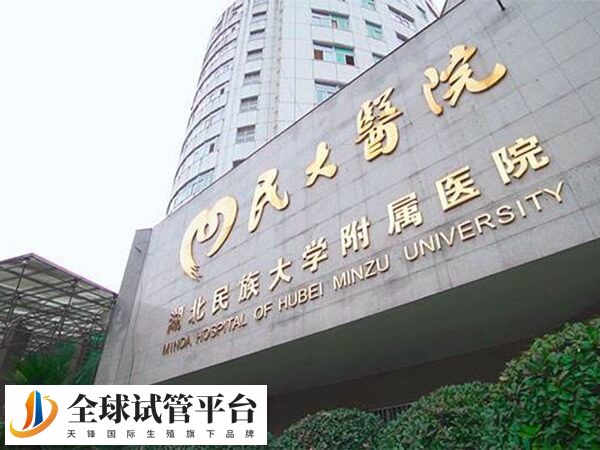 湖北民族大学附属民大医院做试管婴儿促排要花多少钱？