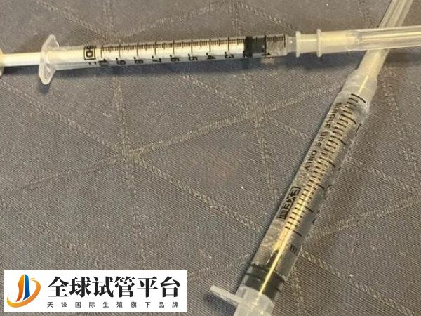 内分泌紊乱会影响卵泡发育