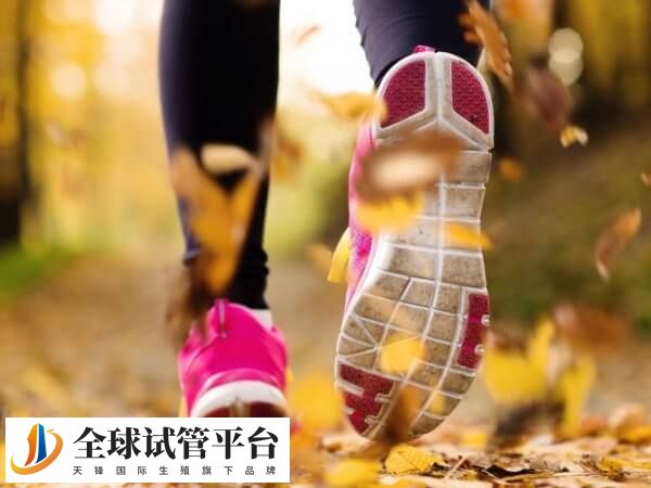 适当的运动可以促进血液循环