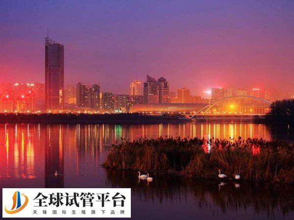 三门峡试管婴儿医院排名中哪家公立医院比较好？