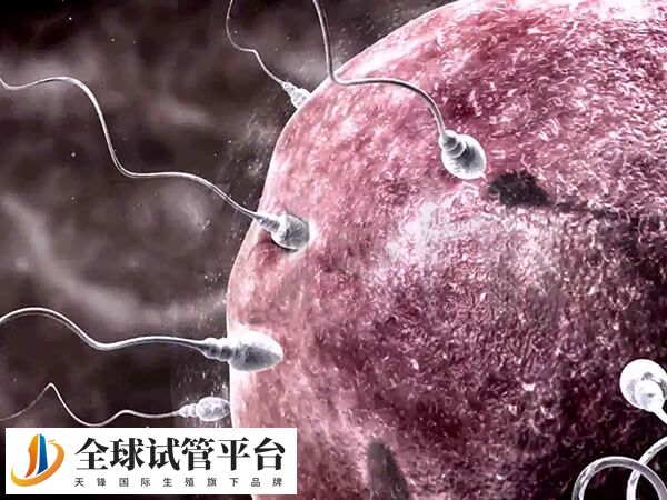 越年轻人授成功率越高