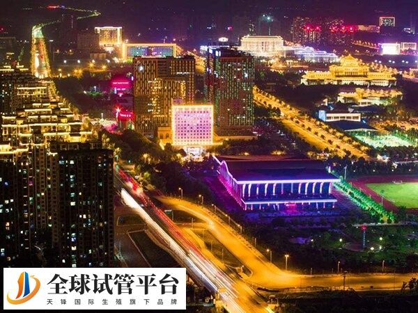 周口没有可以做试管婴儿的医院