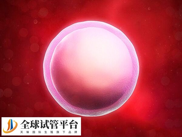 驻马店没有可以做三代试管的医院