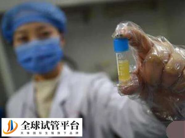 驻马店哪家医院可以供精做人工授精？