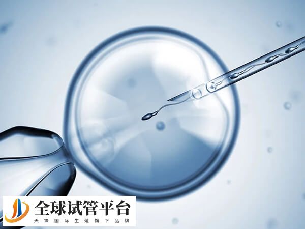 南阳市中心医院试管婴儿胚胎移植技术还是很不错的