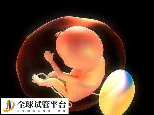 供卵试管婴儿成功率比自卵高